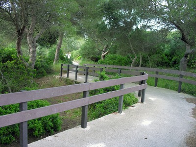 binibeca